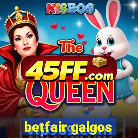 betfair galgos